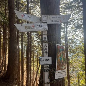 登り下りを繰り返しつつ新大地峠
YAMAPでは大地峠
どなたかが『新』を追記
確かにYAMAPの場所とは少し外れてる