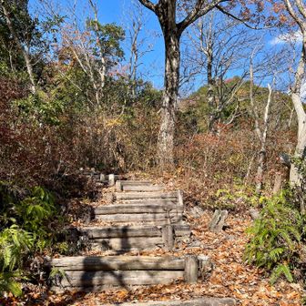 木段を上がって