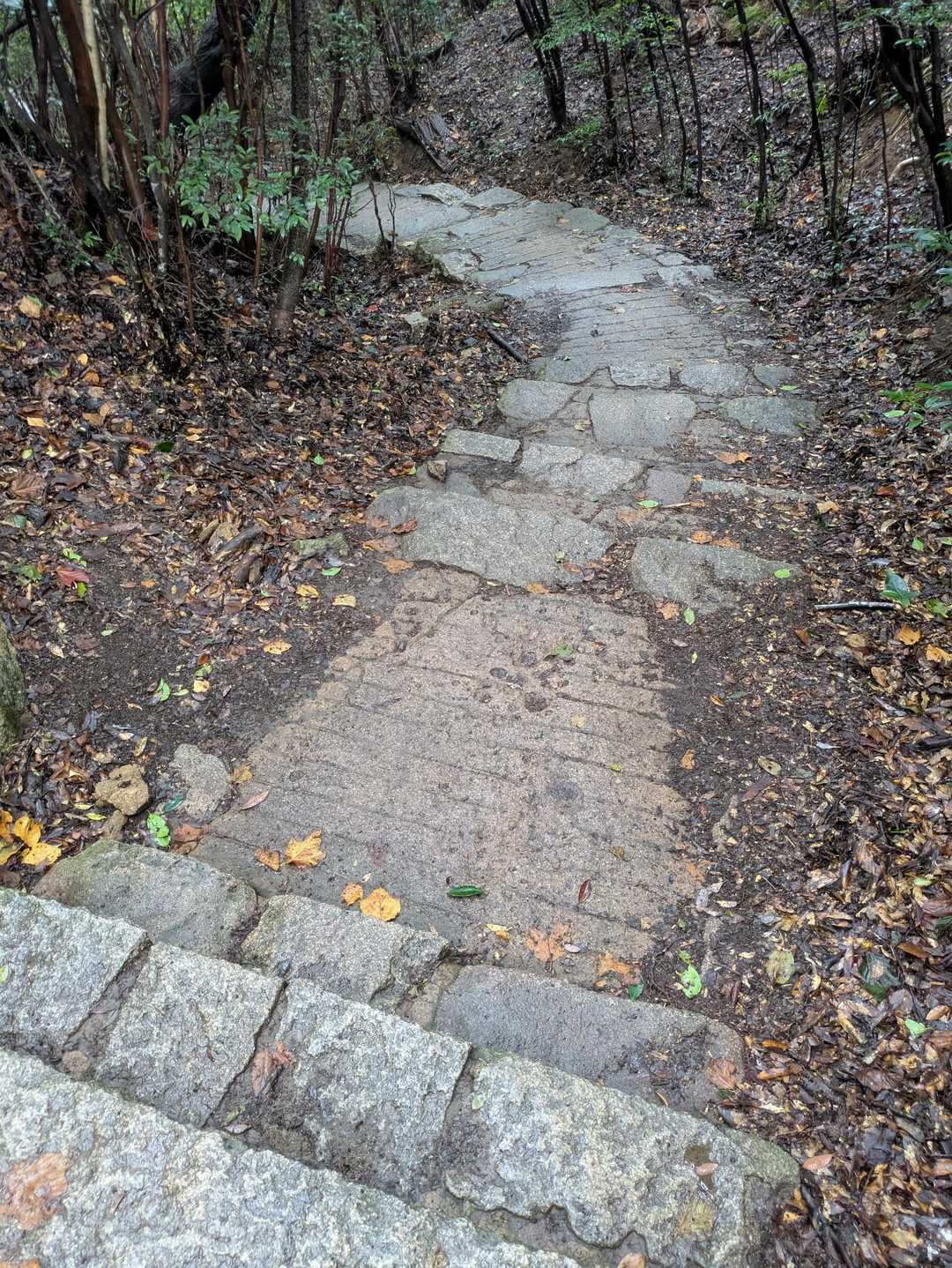これは紅葉谷よりさらにスニーカーで観光登山できる！
なのでかなりの外国人の方とすれ違う💦
ここは日本なのか？笑