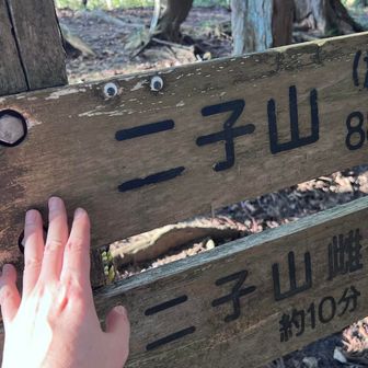 二子山（雄岳）に到着

膝はなんか痛いようなそうでもないような感じがしているんだけど

もうね、膝というより
下りのザレッザレ感に
身体中が疲労困憊でござるよー