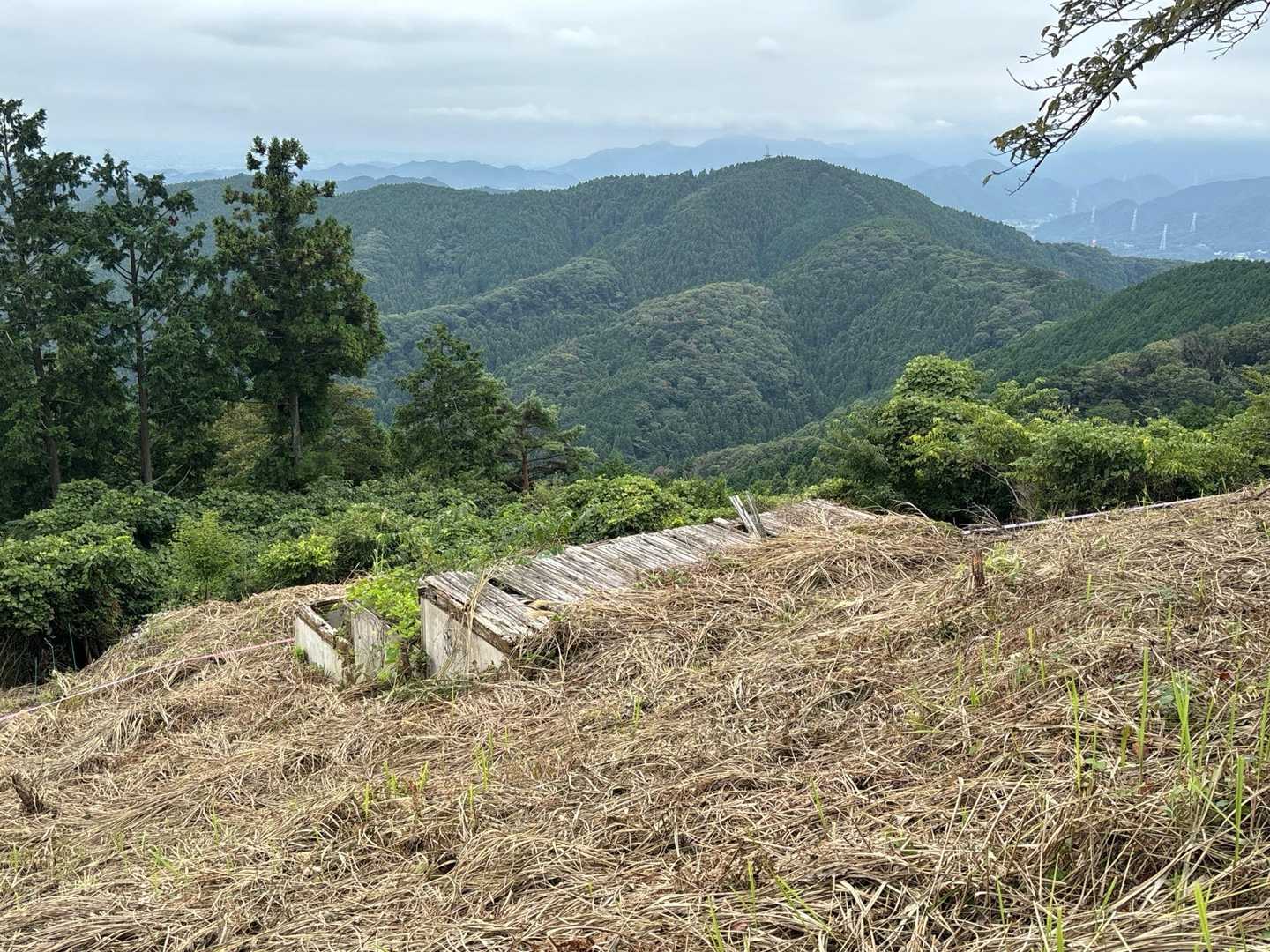 薮を刈ったら、景信山に遺跡らしきものが、
何の遺構？