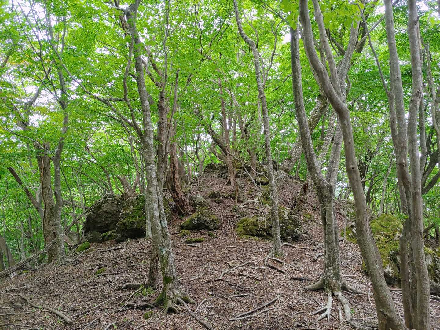 火男火売神社-鶴見岳-猪ノ瀬戸登山口-由布岳-正面登山口 縦走コースの写真