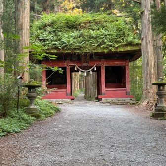 屋根が草だらけなかなかいい！