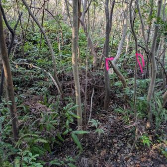 砲弾跡No7：小さい