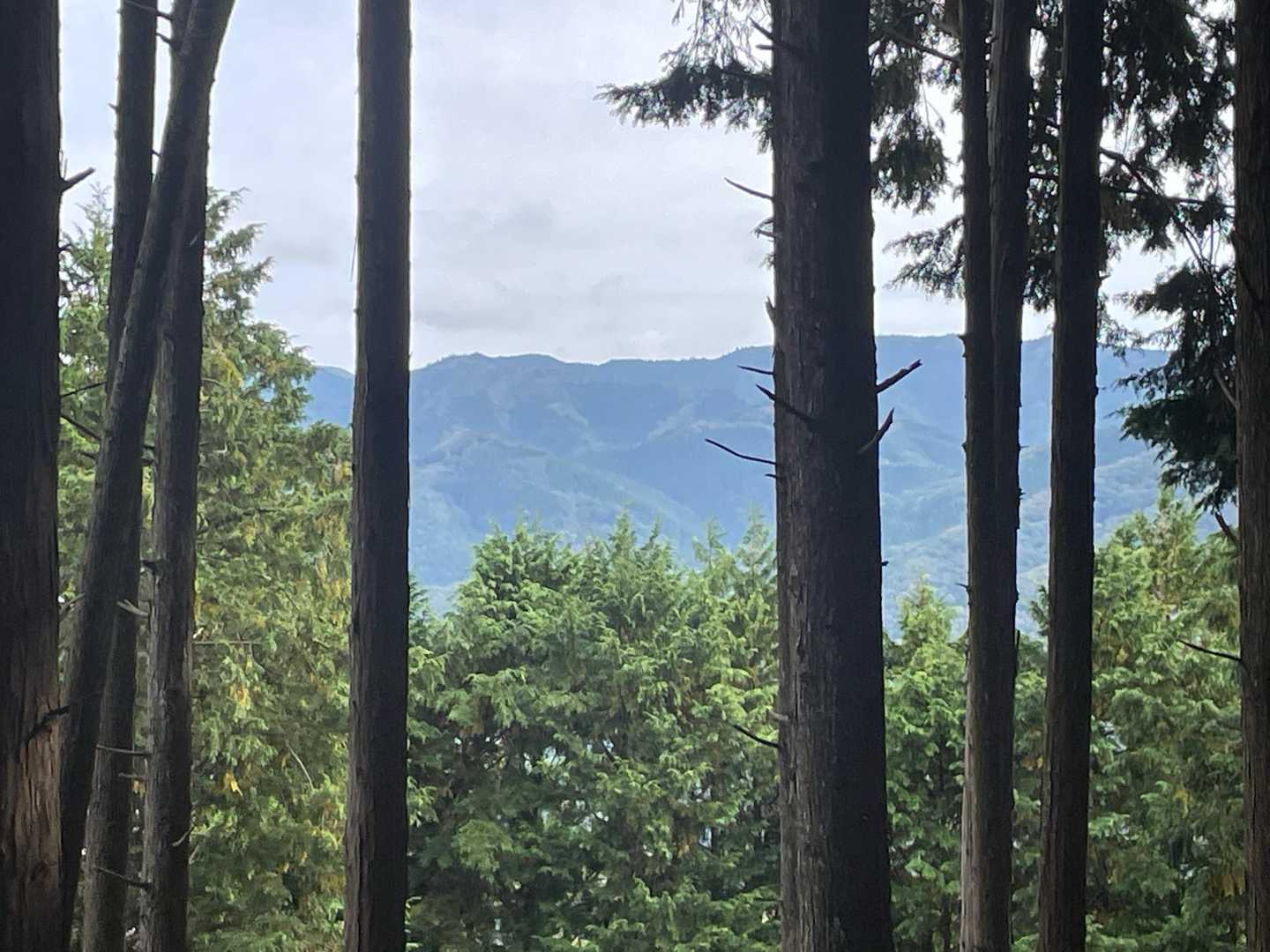 ほとんど眺望が無い登山道ですが、ここだけ、木々の間から少しだけ眺望が👀