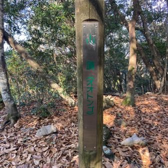 さんちょー　立派な標識