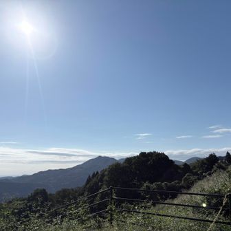 晴れ☀️嬉しー