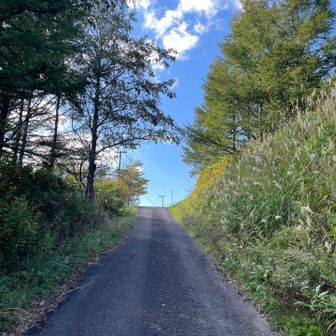 ⛰️登山道
