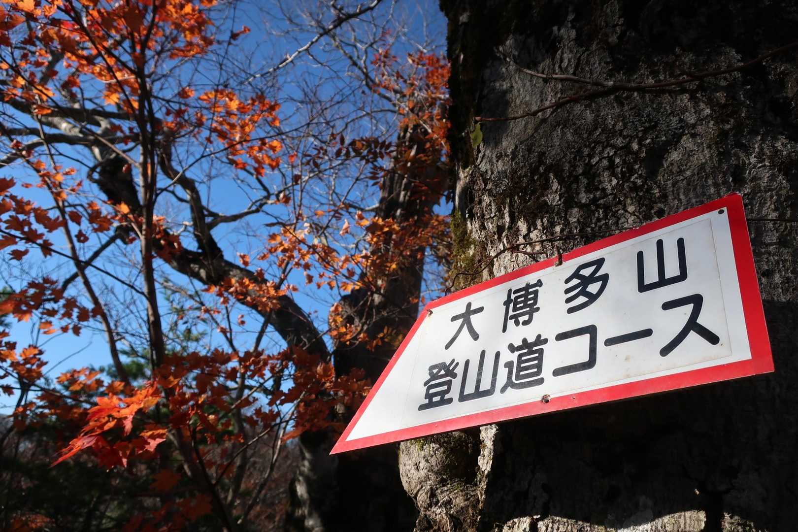 頂きはまだかぁ〜💦