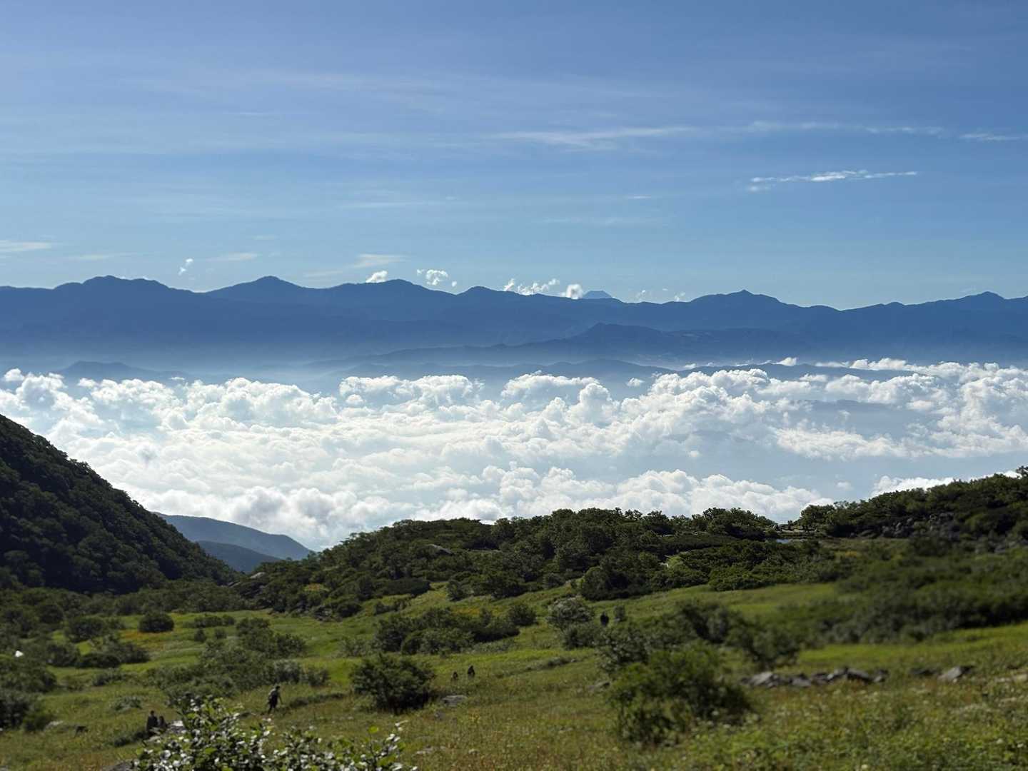 息子が、いつの間にか撮っていた雲海。