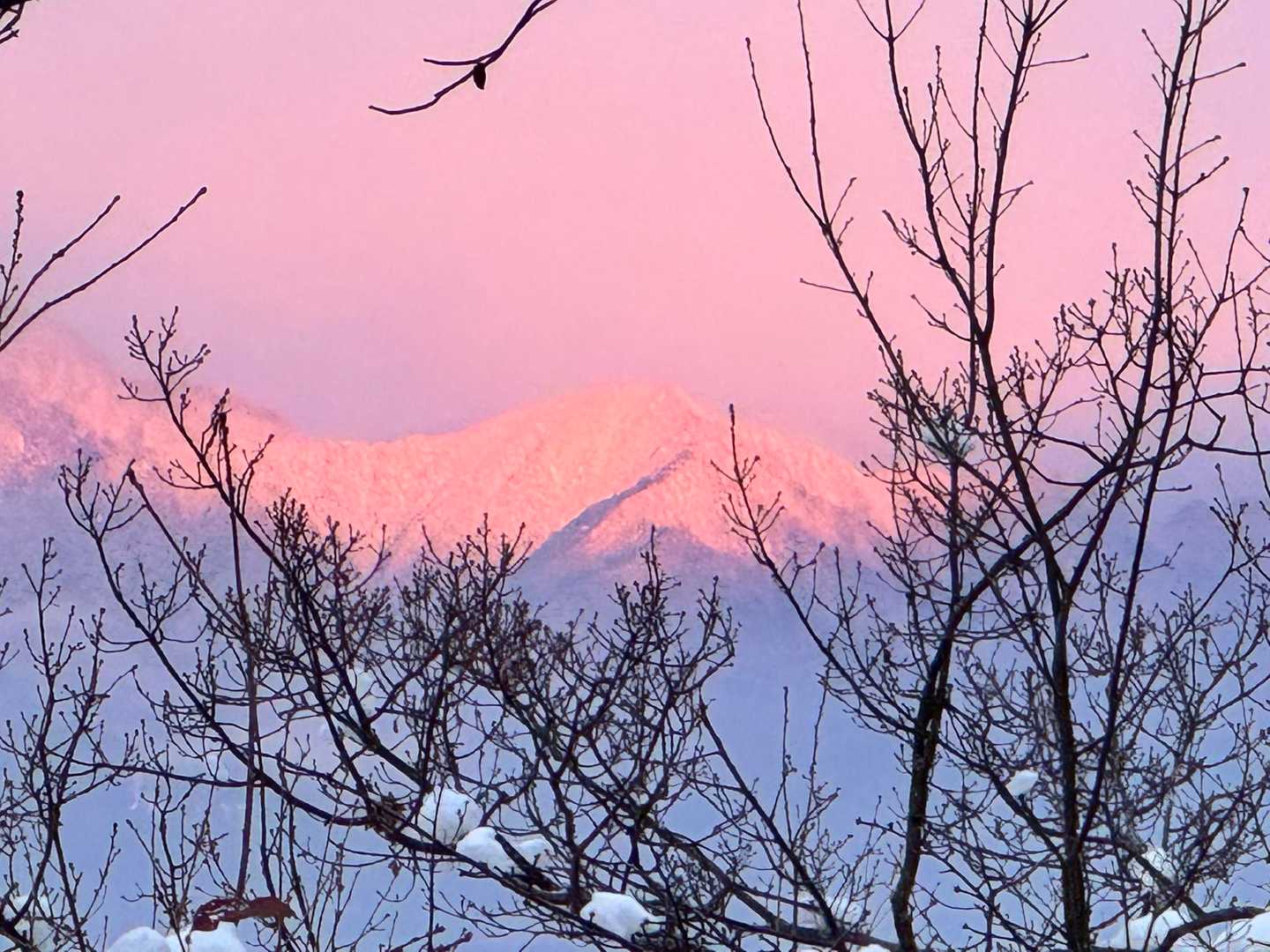 長峰山 往復コースの写真