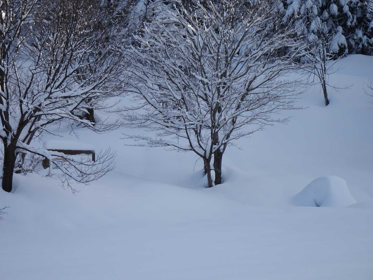 電話ボックスは雪の中