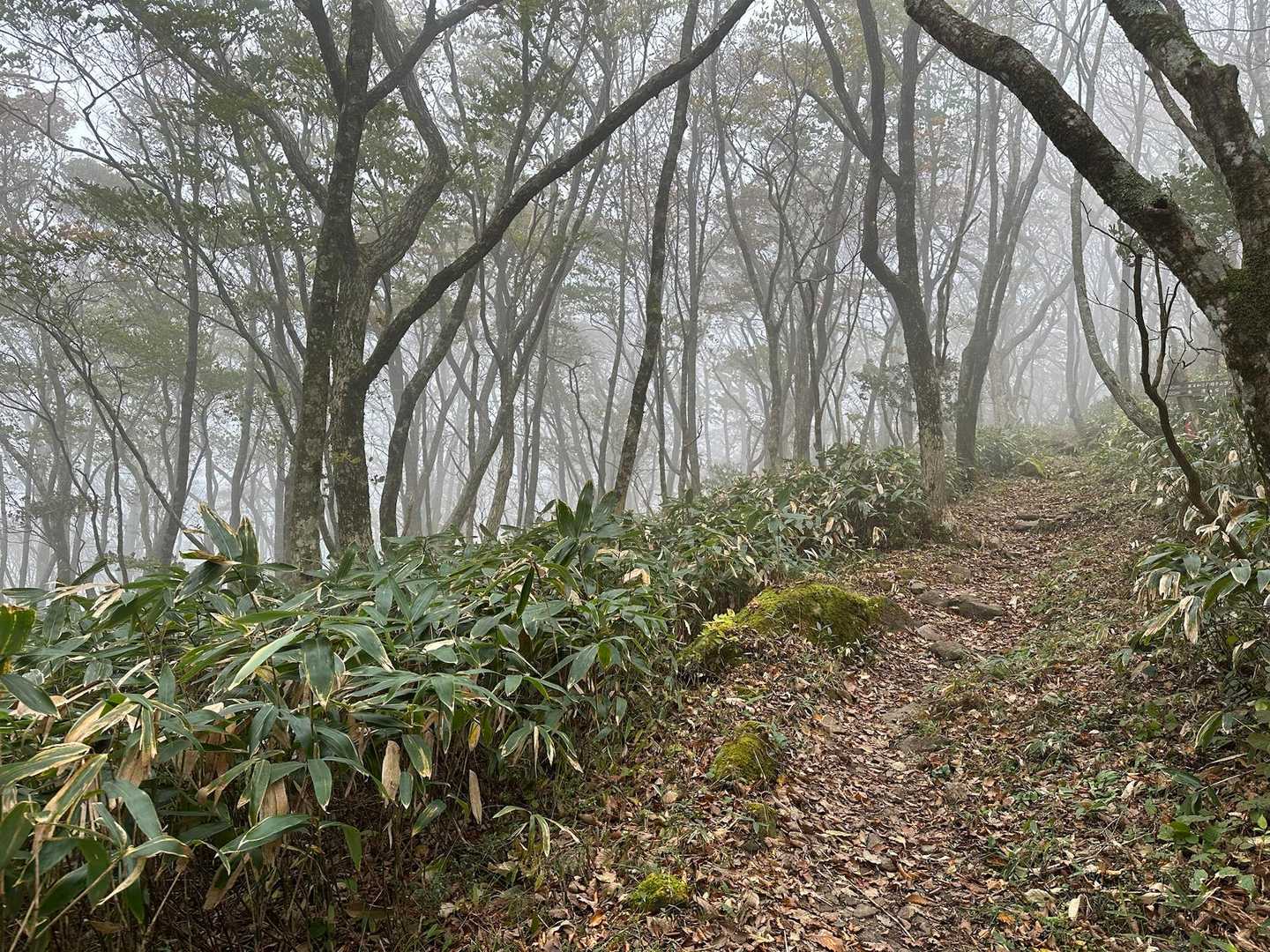 さっきまでの天気が嘘みたい