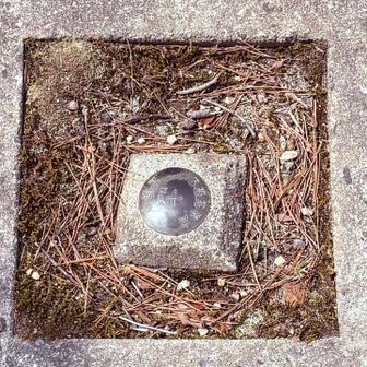 長尾山の三角点