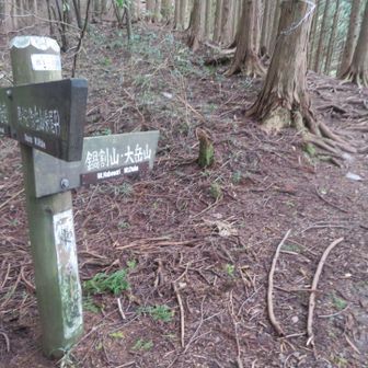 分岐を右➡️