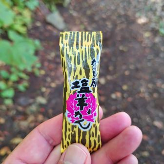 何気に美味い塩羊羹