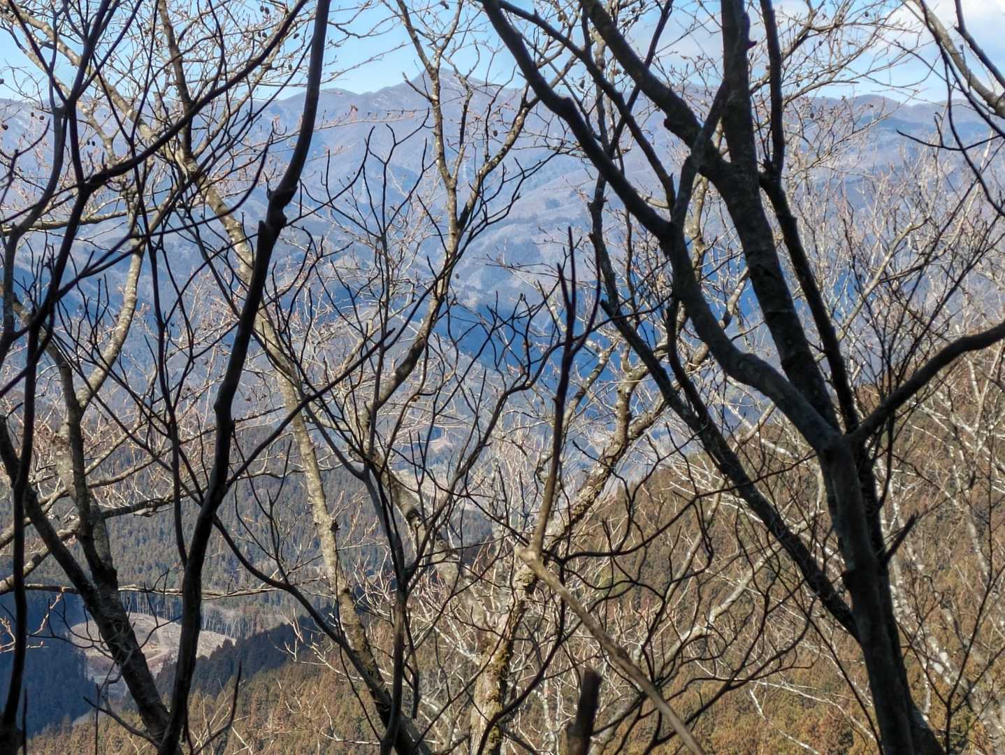 県界尾根からの赤久縄山