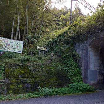 このトンネルくぐります