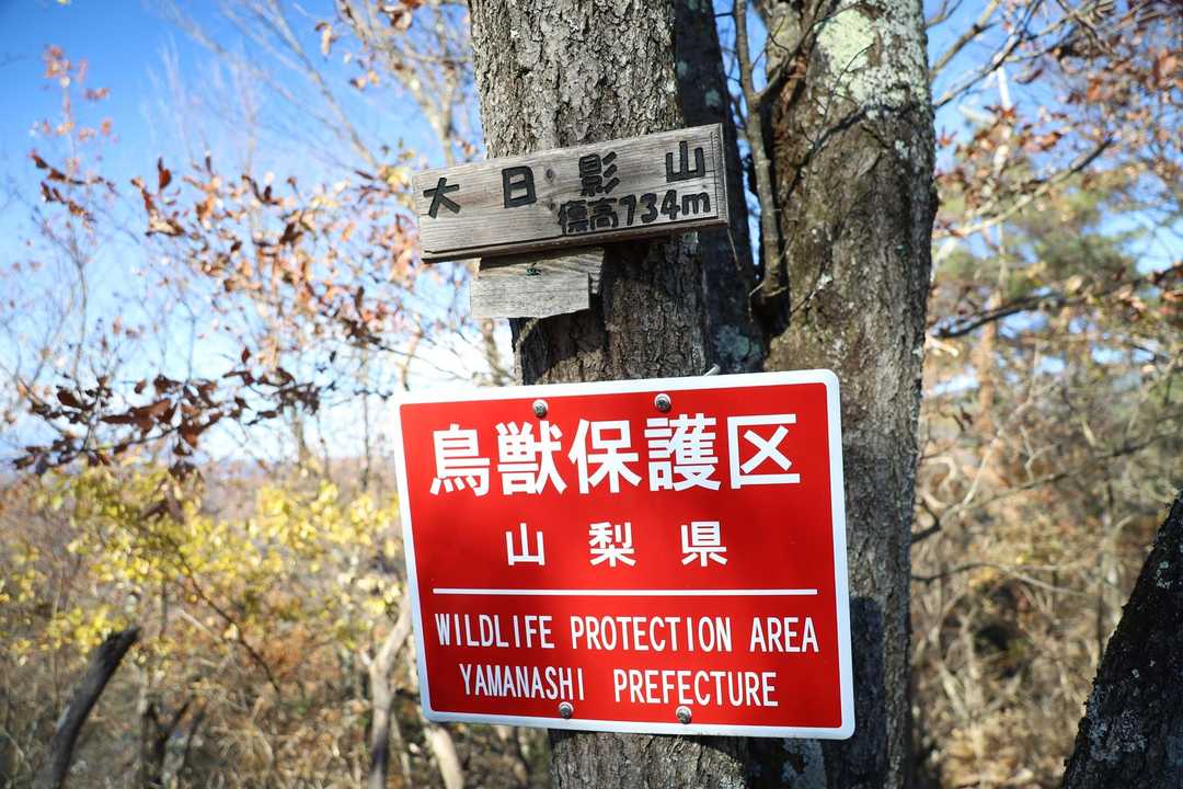 大日影山の山頂標識