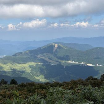ハチ北高原？