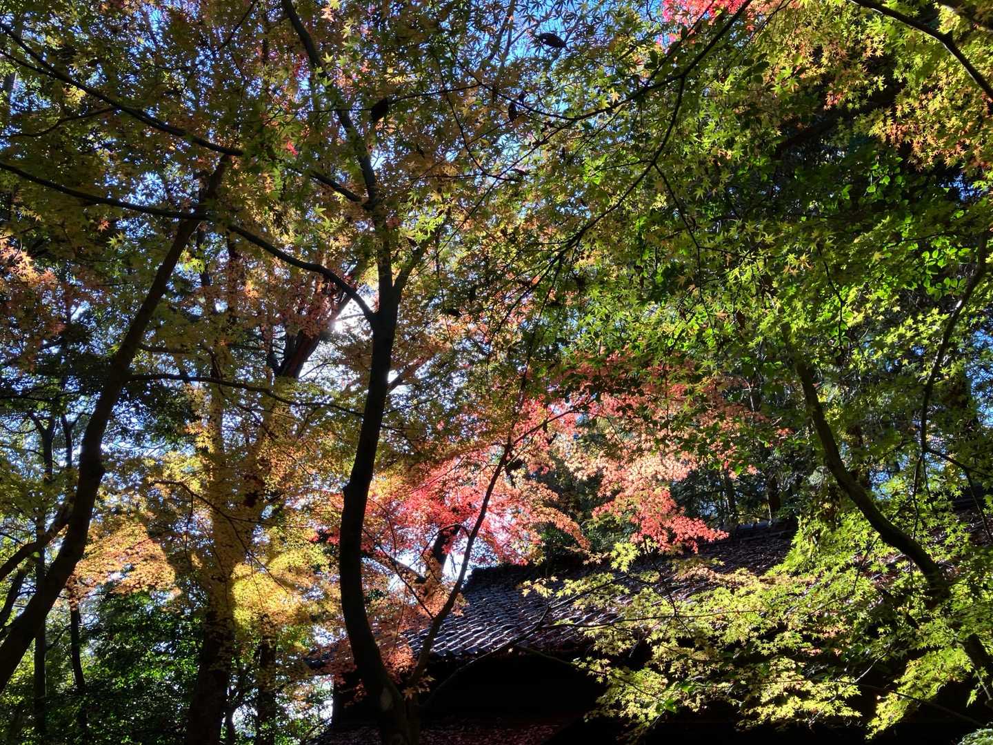 各務原権現山を往復｜お手軽低山でも名古屋市街や伊勢湾までの大展望の写真