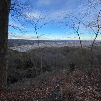 眺望はこんな感じ