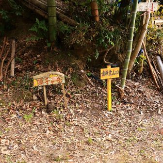 やっと下山できた❗️
あとはロードを歩く🚶‍➡️