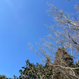 お天気良すぎる