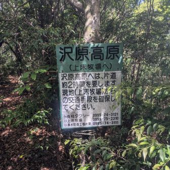 『山と渓谷』に伊達公子さんが書いてました。「「限界を超えない」ことが長く登山を続けるために大事だと思っています。」
山で力を出し切ってはいけません。帰宅の交通手段を確保したうえで楽しみましょう。山で限界に挑戦すると、命落としますよ。