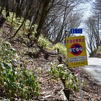 車、バイクが怖いので、峠まで踏み跡を歩きます