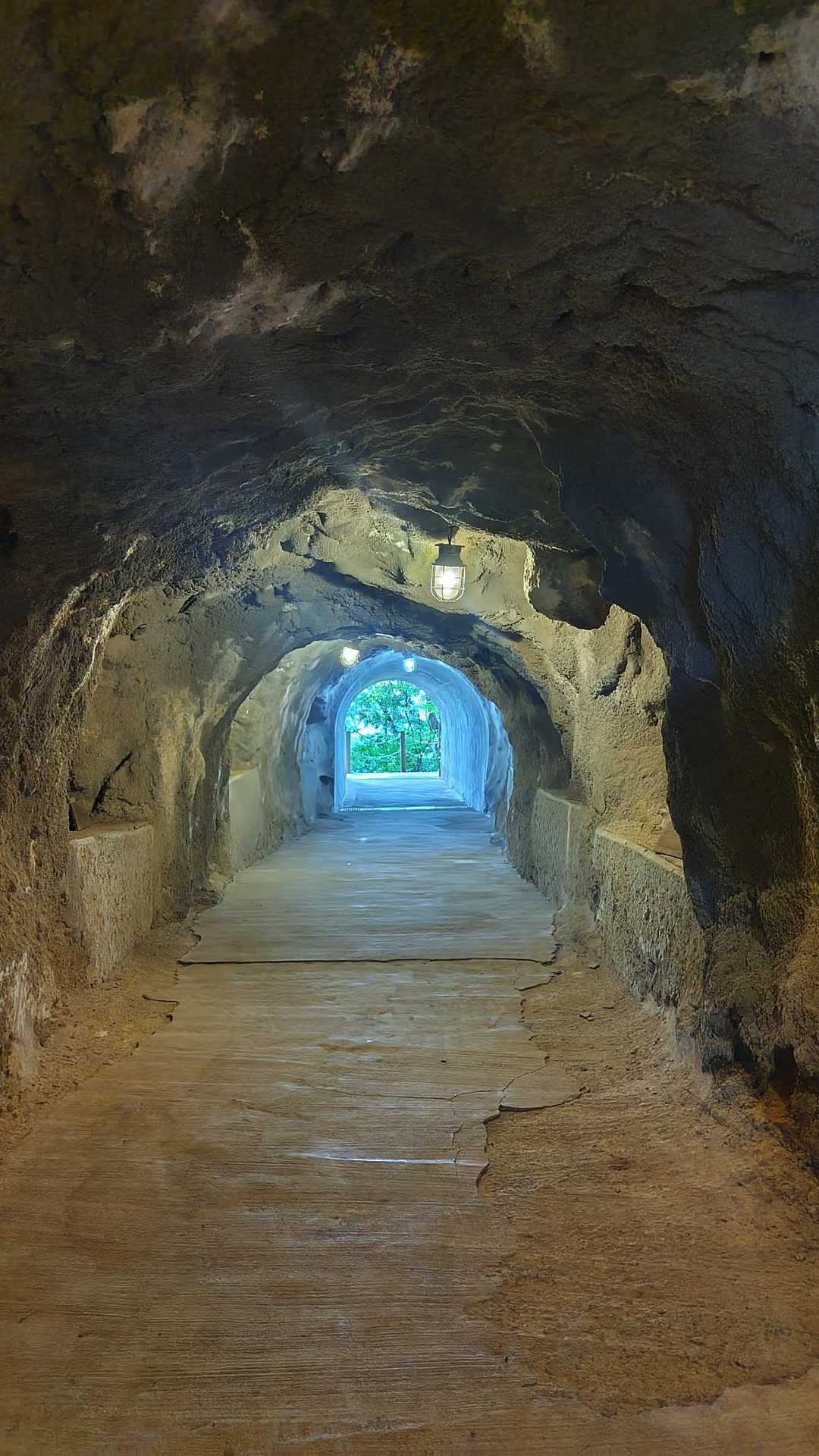 牛伏山 周回コースの写真