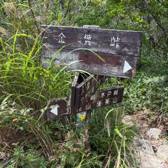 金糞峠に到着です😃