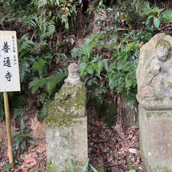 第七十五番　五岳山善通寺