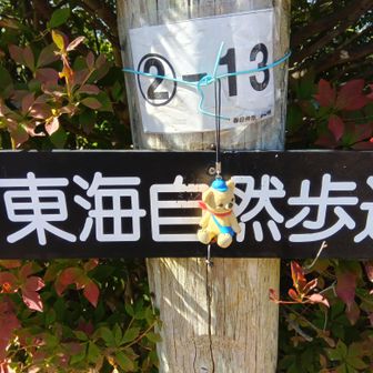 よく見ると針金にぶら下がっている
ありがとうございました