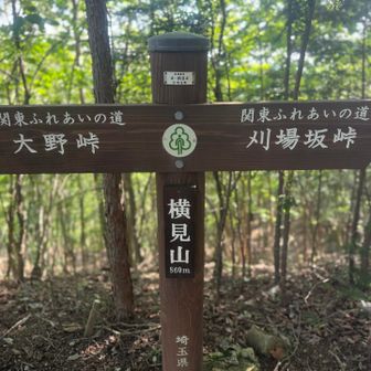 横見山