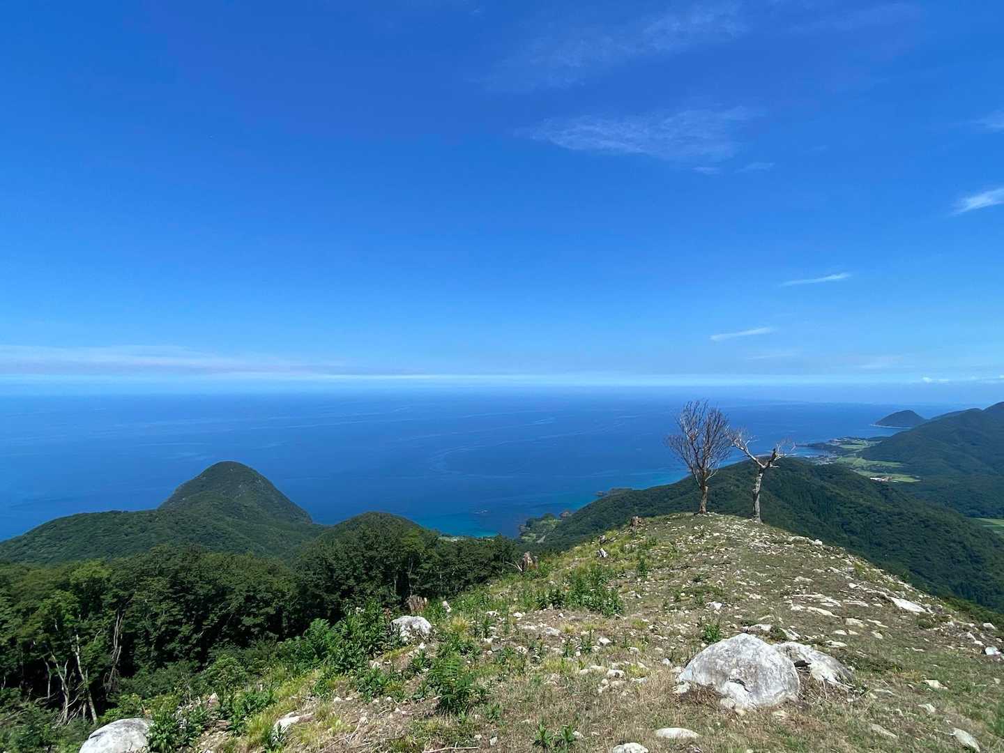 依遅ヶ尾山 往復コースの写真