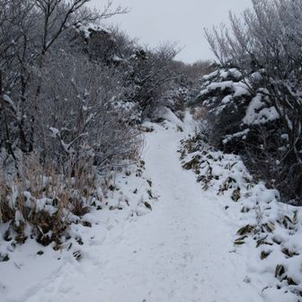 耐えれるのか？厳冬期のくじゅうテント泊-2020-02-09 / やぎさんの登山