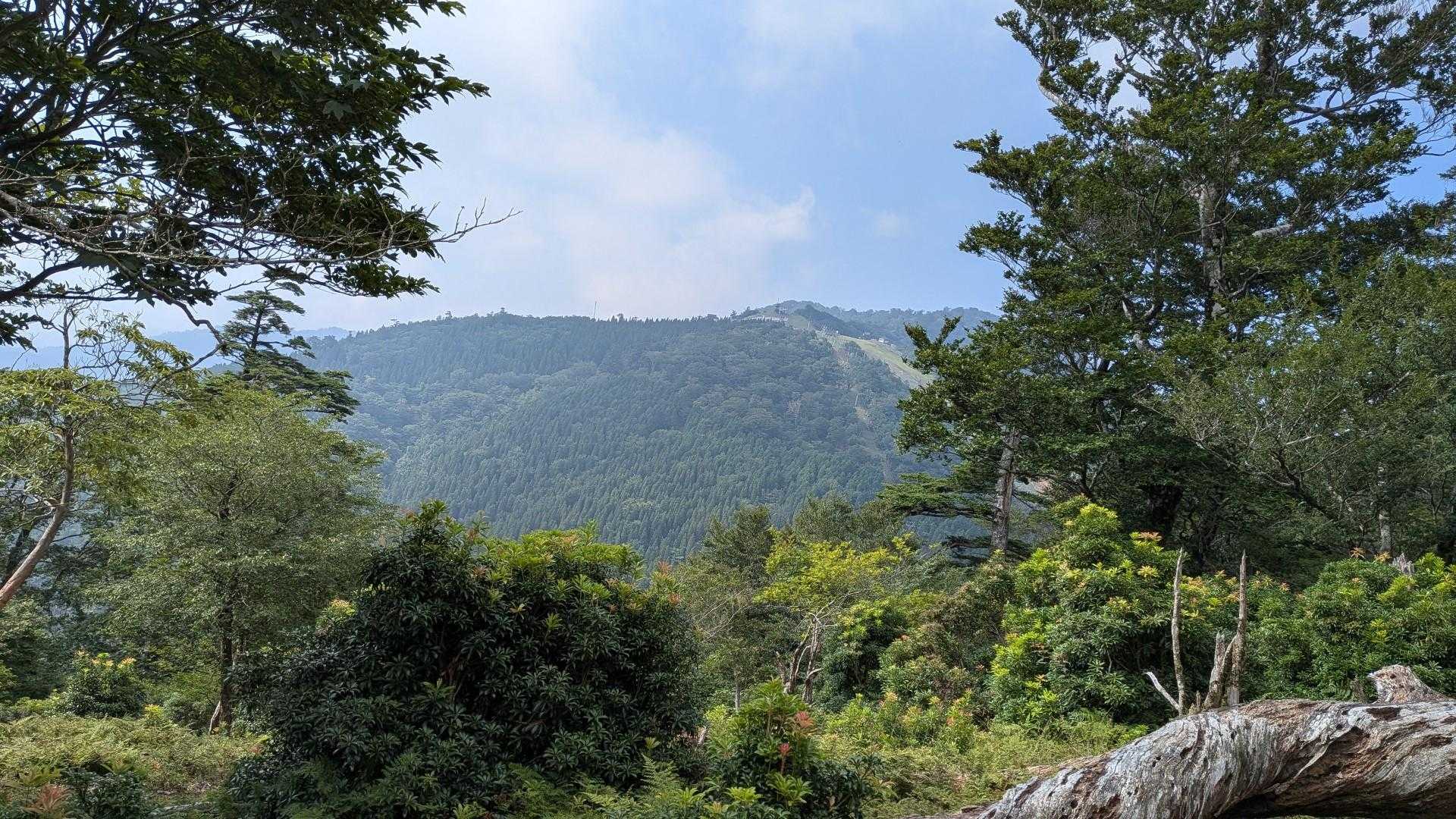 たまにスキー場チェック
