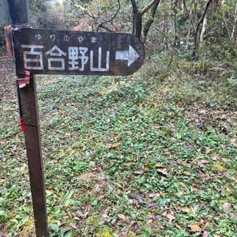 鹿鳴越から百合野山に行きます