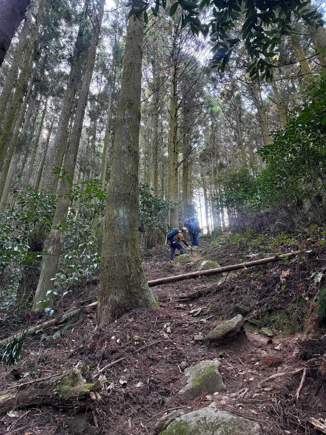 加茂ゆらりんこ橋登山口-加茂神社-真名子登山口-二丈岳-筑 縦走コースの写真
