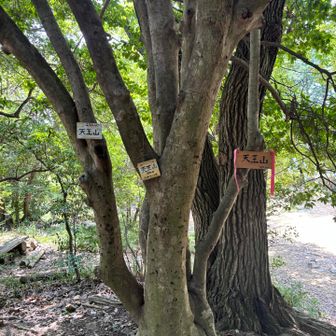 こんなに山頂プレートあった　増えてる