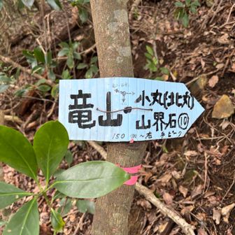 この手間辺りから急登がはじまりました
かなりの急登と急斜面のトラバース
