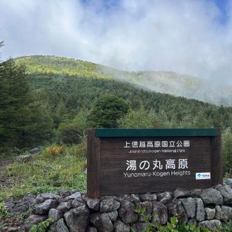 待っててねー。急いで登る