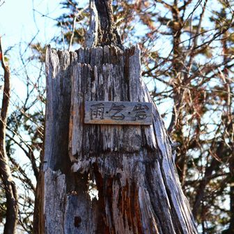 今日は雨乞したくない快晴でした。