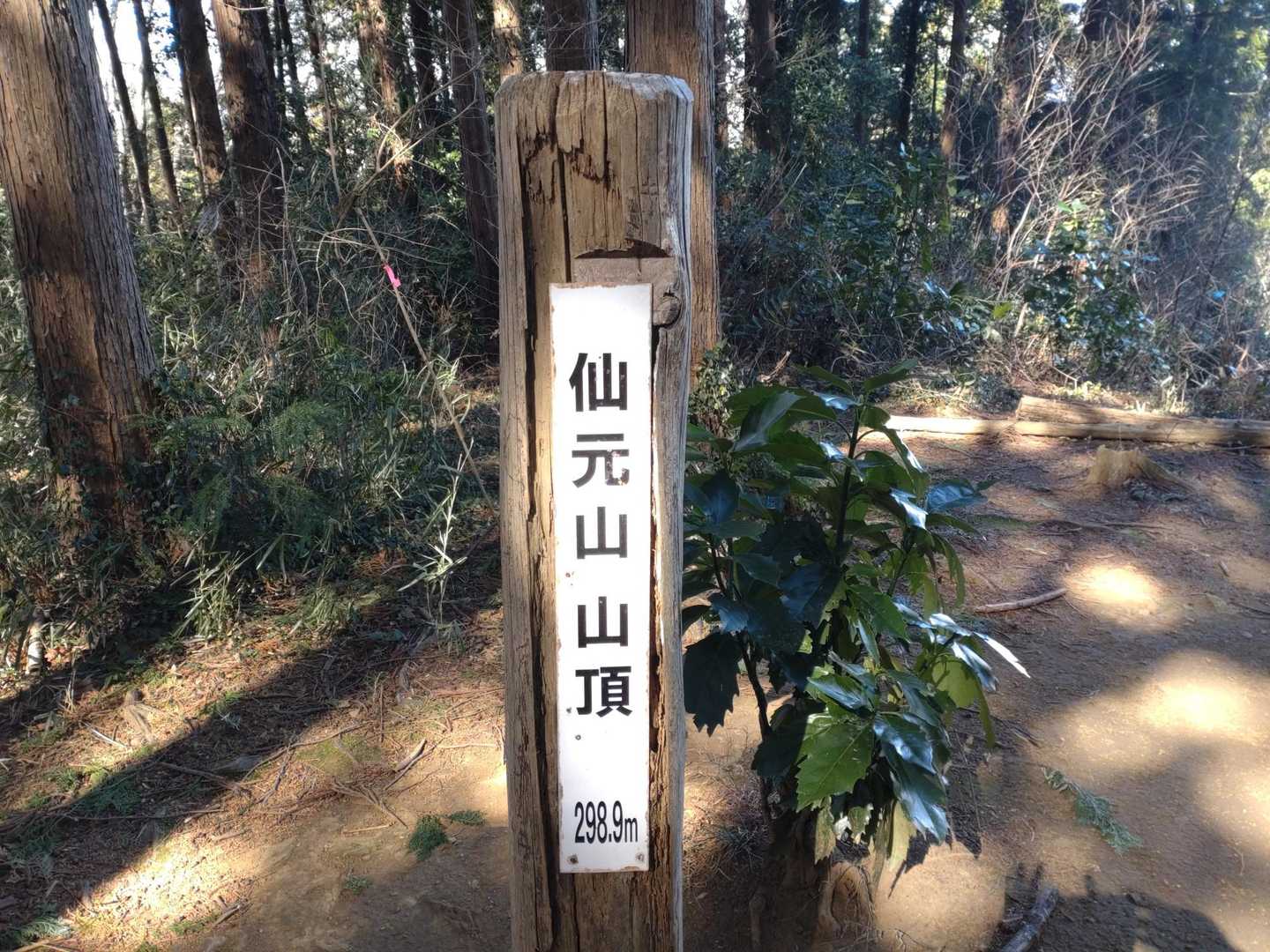 仙元山遊歩道入口-仙元山-城山-柳町橋 周回コースの写真