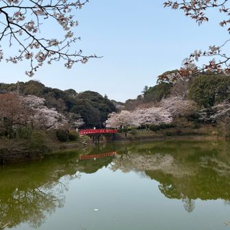 水面に逆さ桜が写って、京都っぽいです✨
釣り🎣を楽しむ人々も多くいらっしゃいました。
