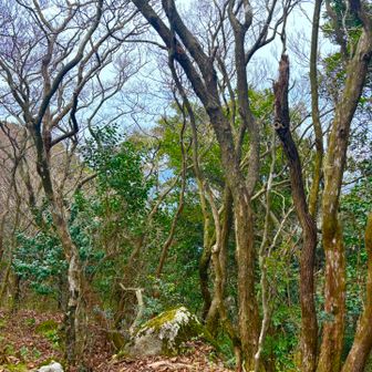 眺望ないのが残念よな(´・ω・｀)