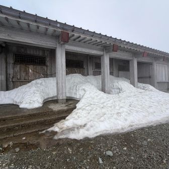 来月までには溶けるのでしょうか？