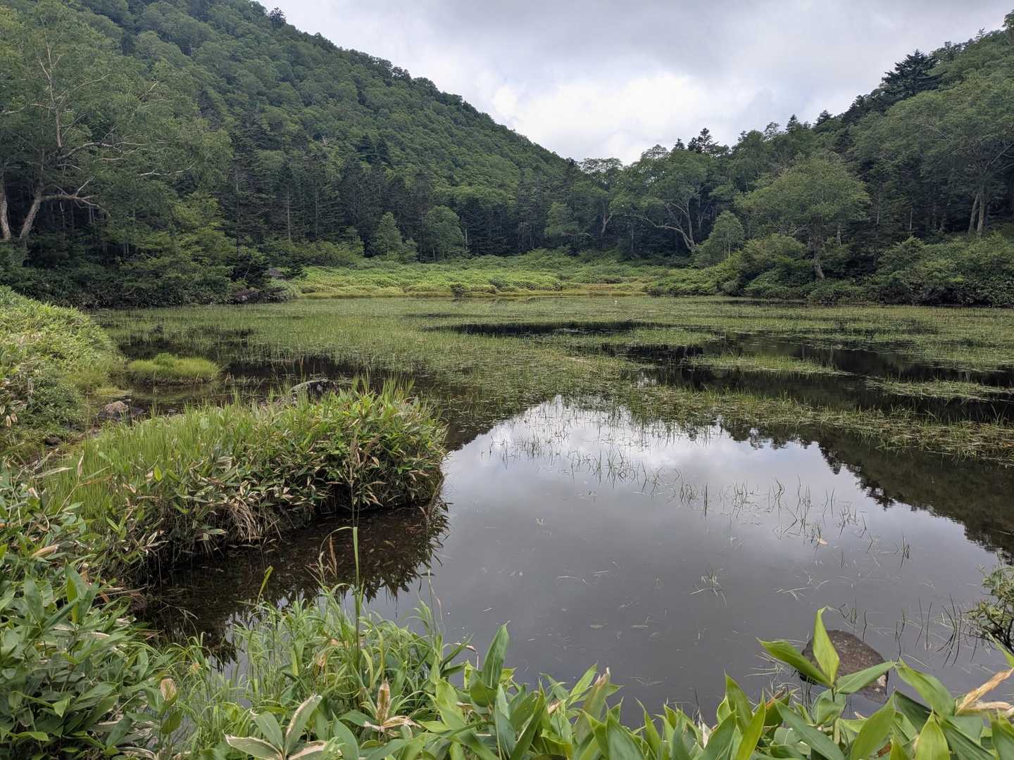 周回ルートで下山します
大池　きれいなところ