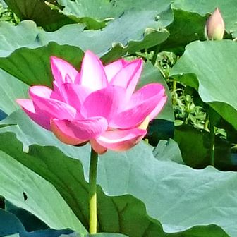 猛烈ジャンパー